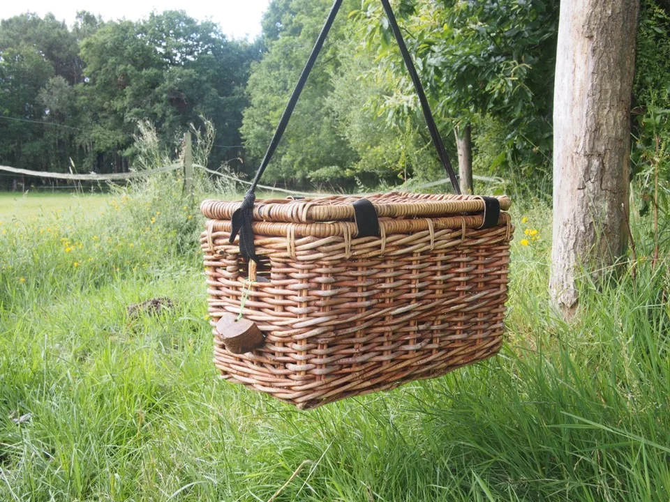 Panier de petit-déjeuner suspendu à un arbre