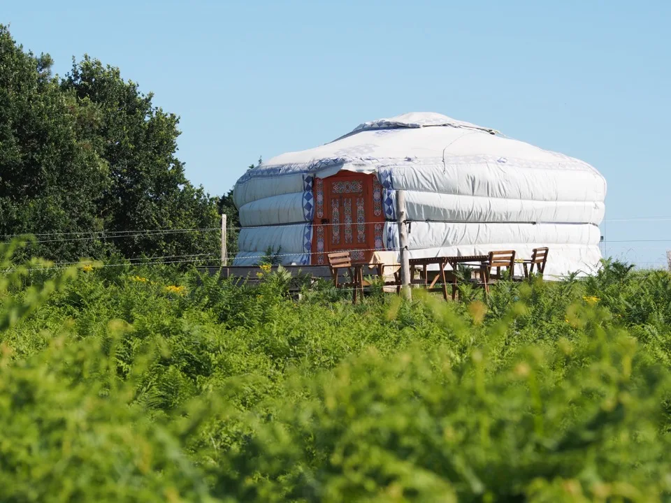 Yourte blanche dans un pré vert