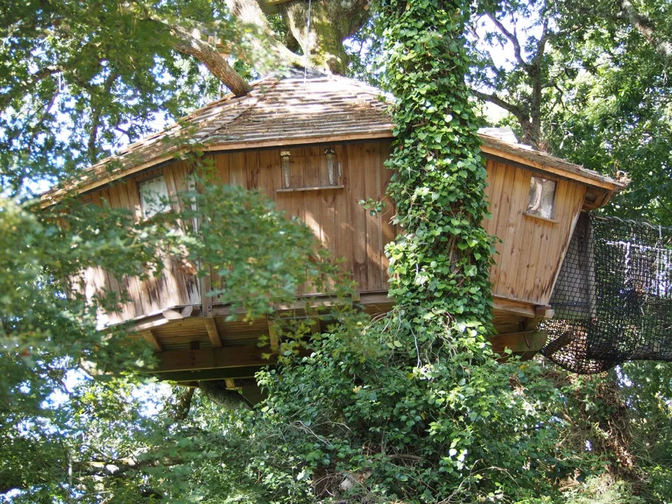 Cabane en bois nichée au milieu des arbres