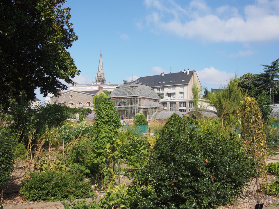 Jardin des plantes Nantes