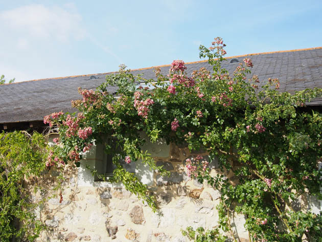 maison fleurie