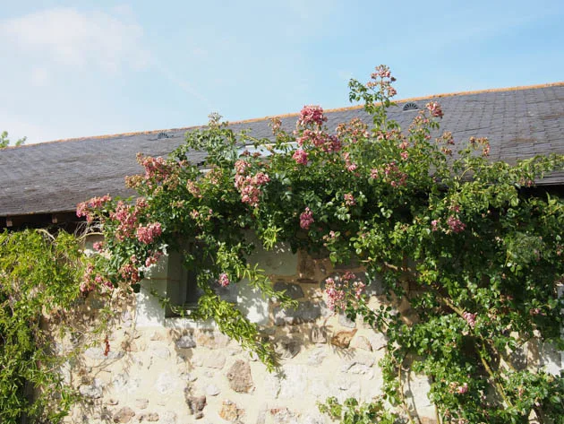 maison fleurie