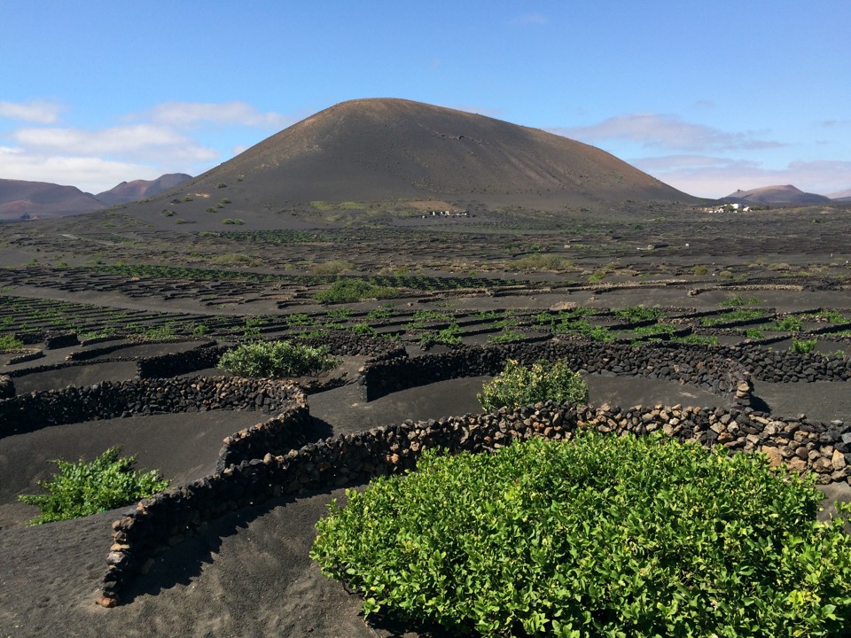 La Geria Lanzarote