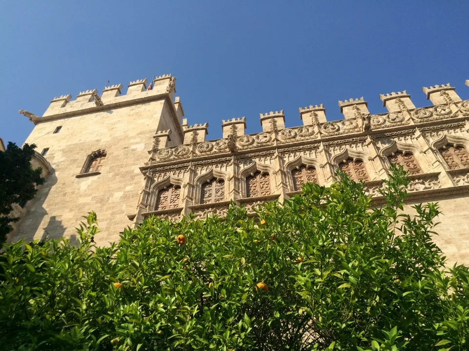 Façade gothique de la Lonja de la Seda derrière des orangers