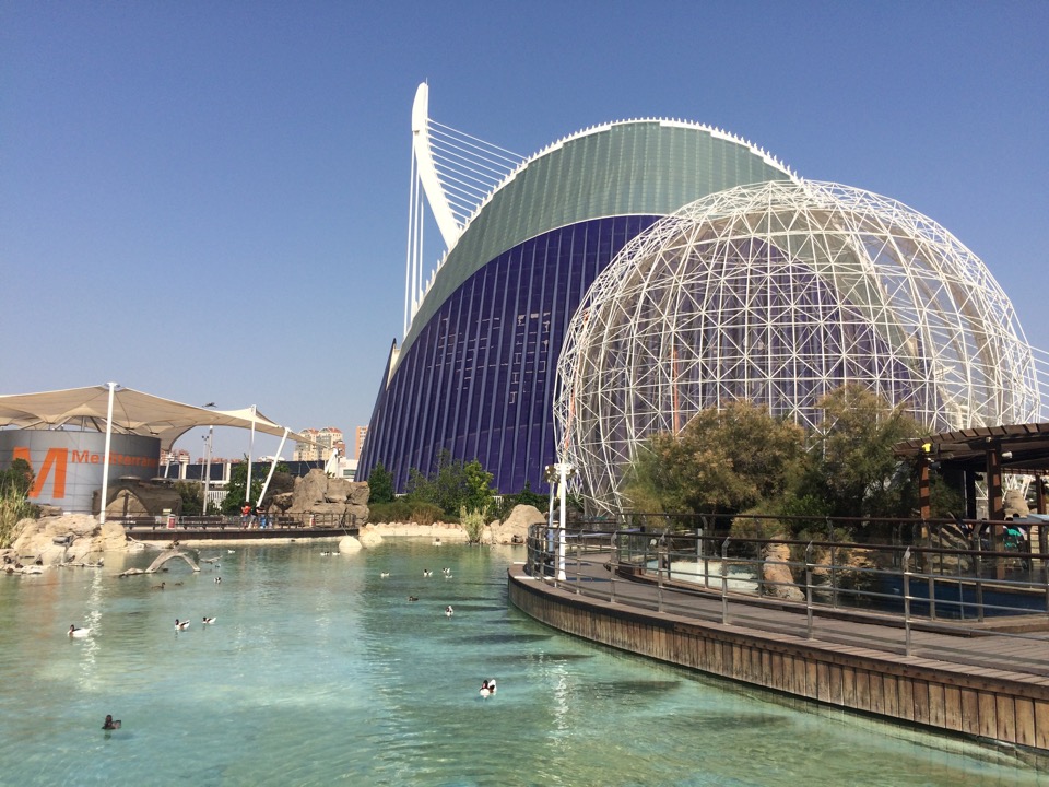 aquarium Valencia