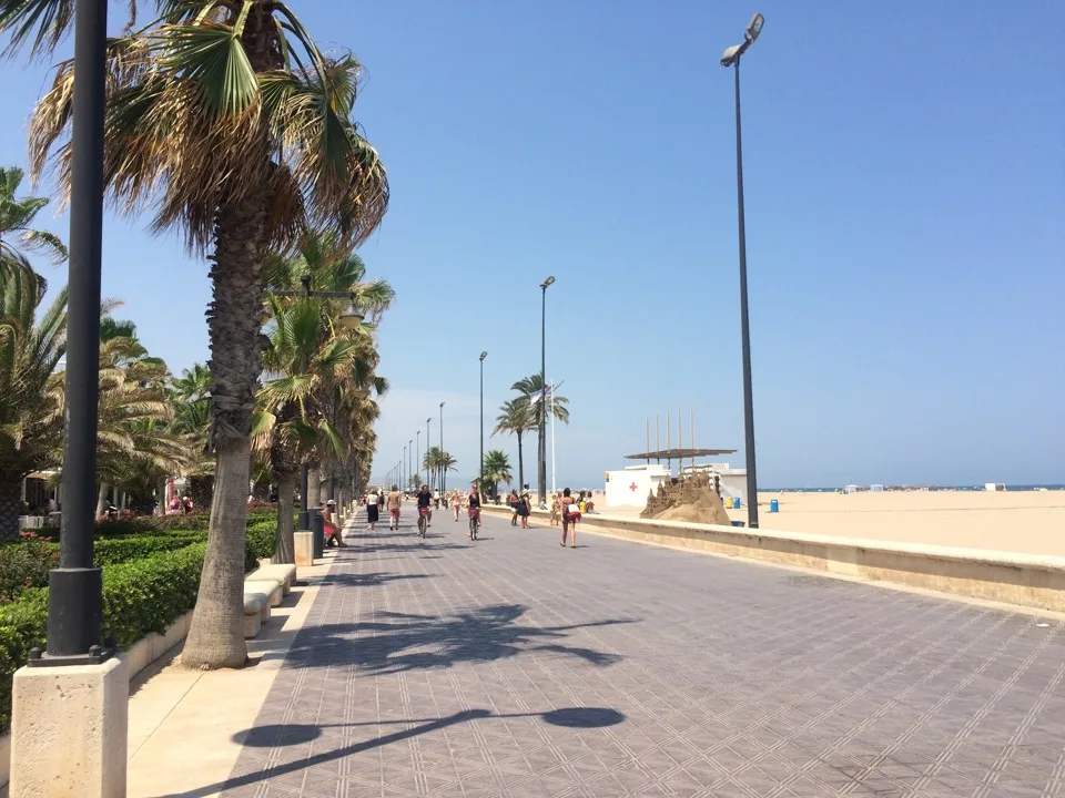 Promenade bordée de palmiers le long de la plage de Valence