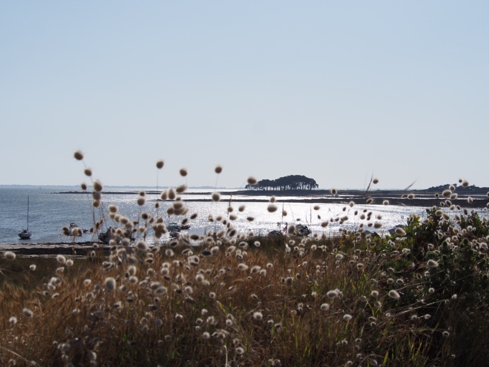 plage de Locmariaquer