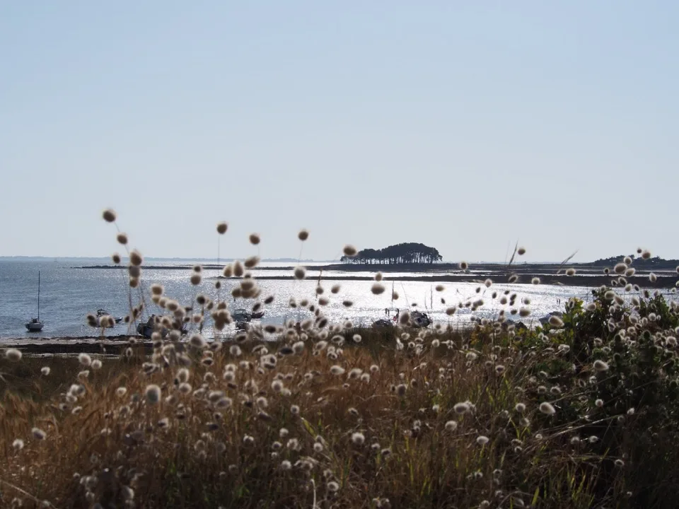plage de Locmariaquer