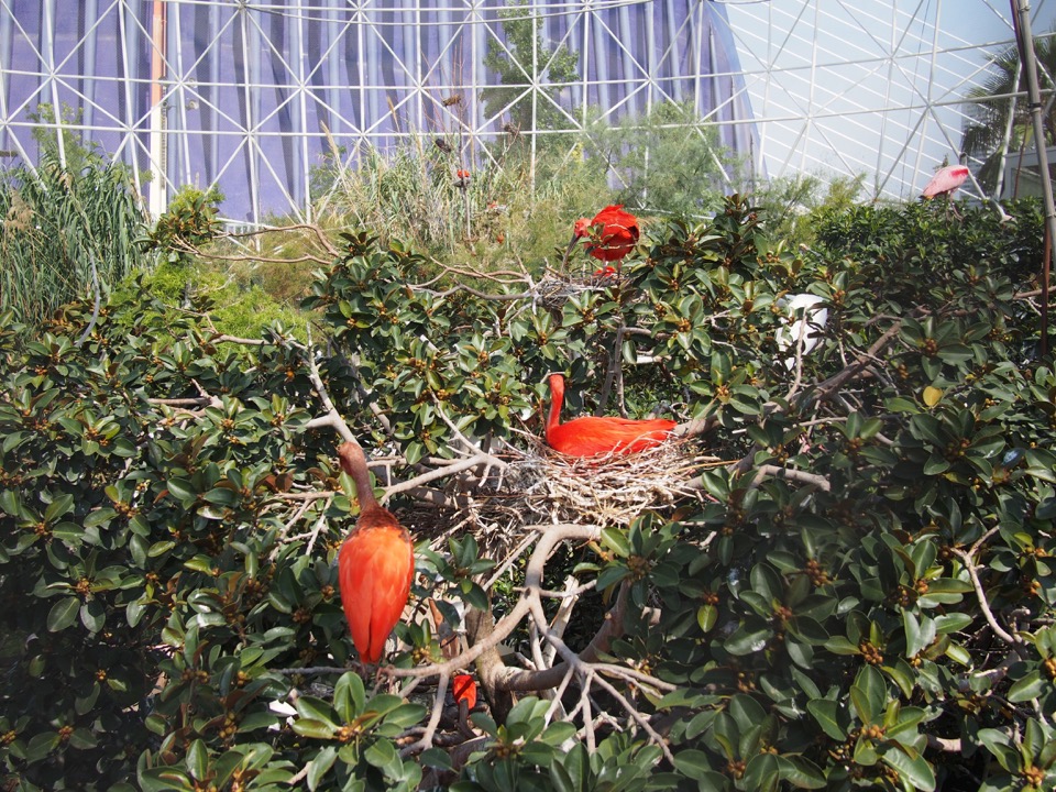 aquarium Valencia