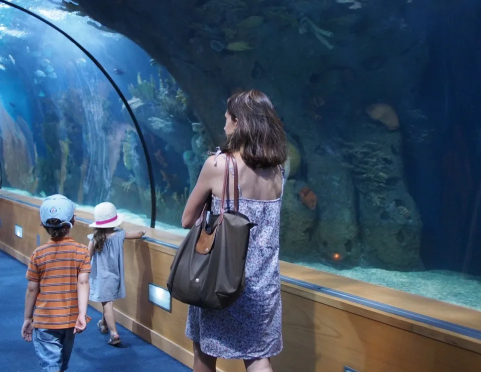 Famille regardant un grand aquarium par derrière