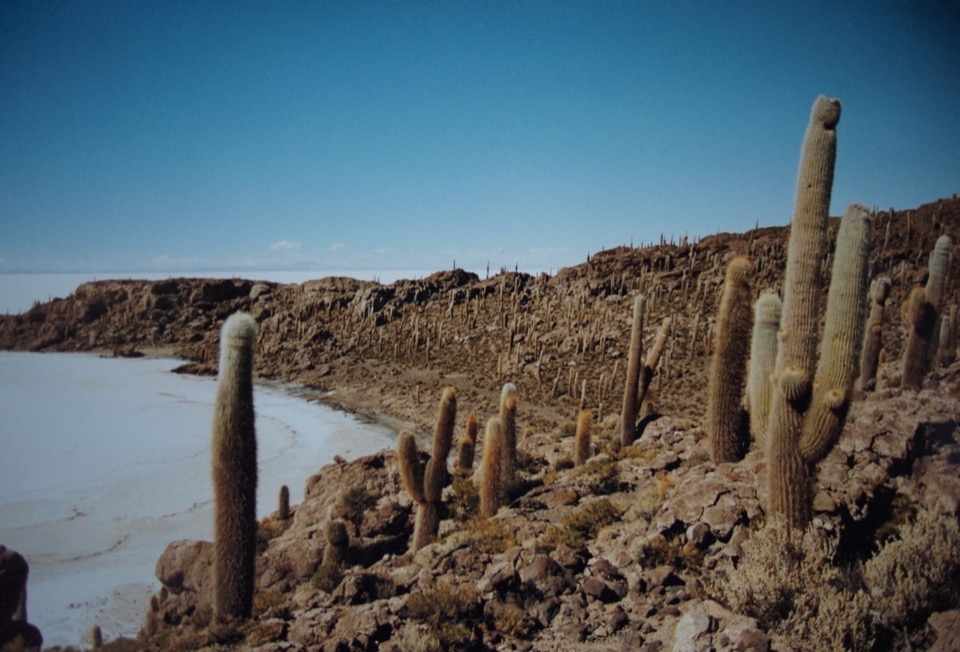 Salar d'Uyuni en Bolivie