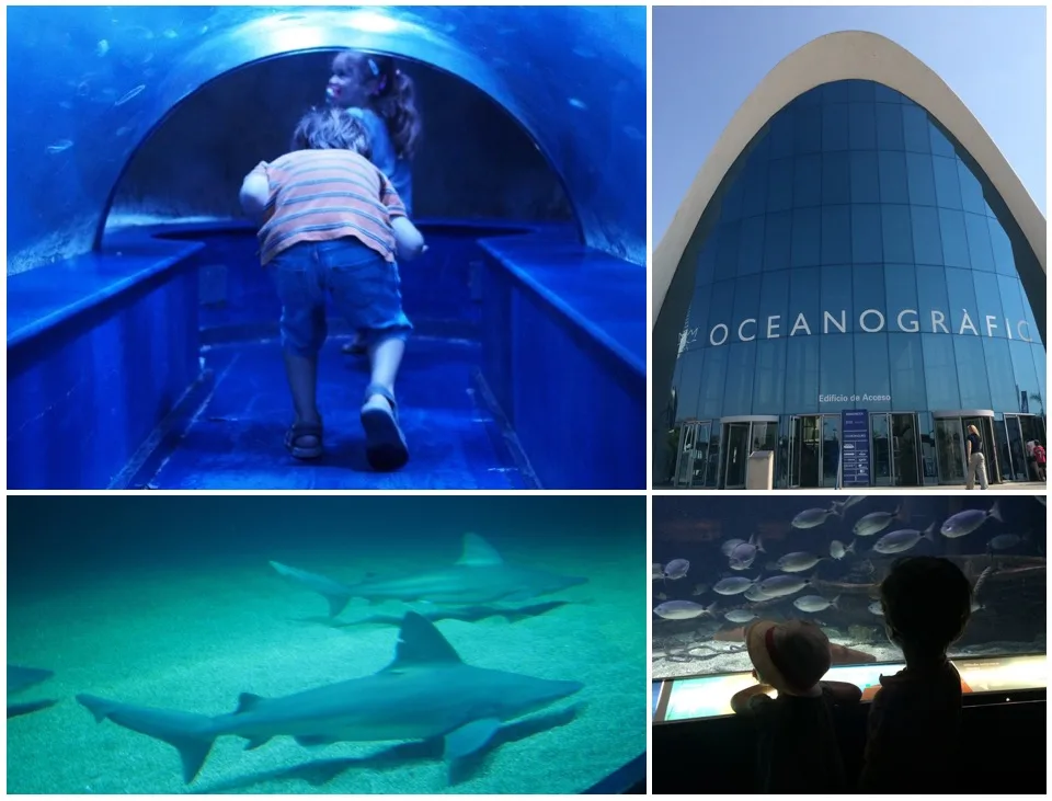 Collage de tunnels d'aquarium et de requins à l'Oceanogràfic Valencia