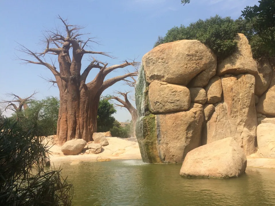 Baobabs et formations rocheuses au bord d’une piscine