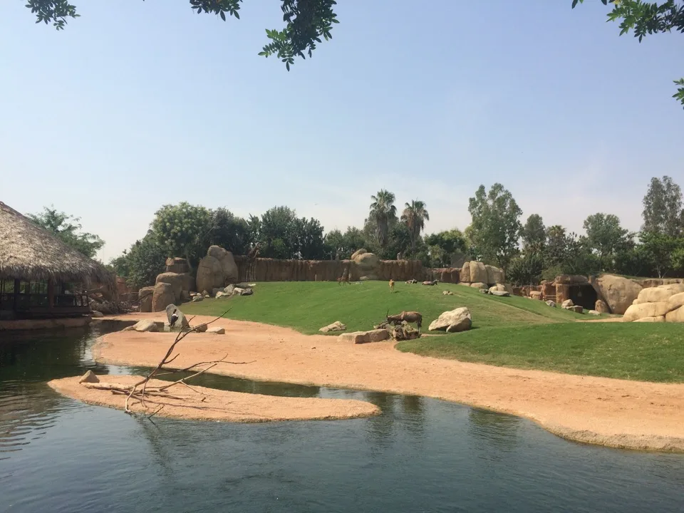 Enclos de savane et eau au Bioparc Valencia
