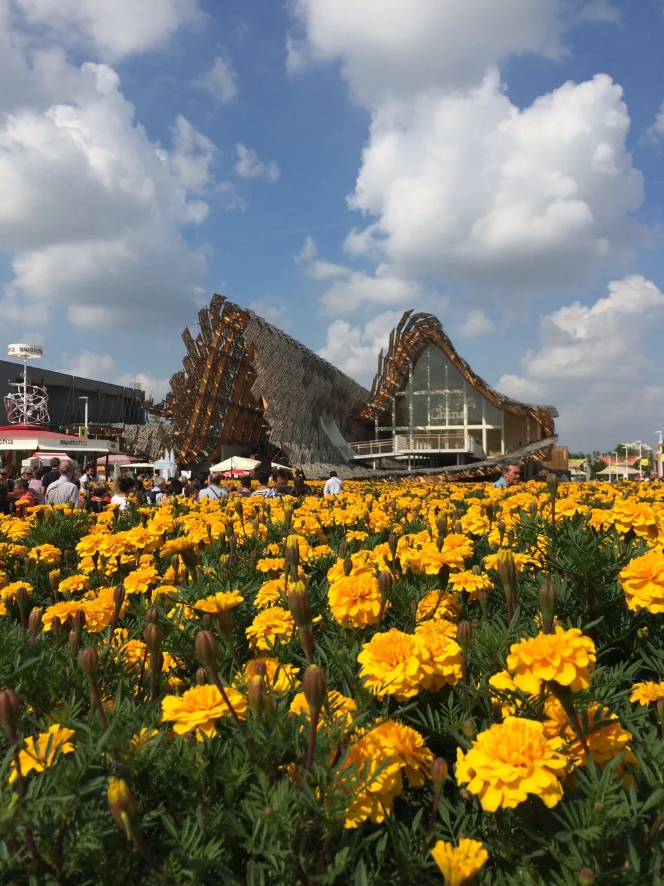 Fleurs jaunes devant un pavillon sculptural de l’Expo