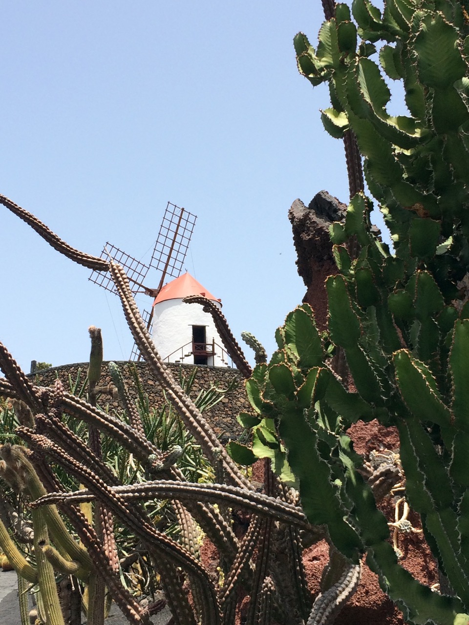 Jardin de cactus Lanzarote