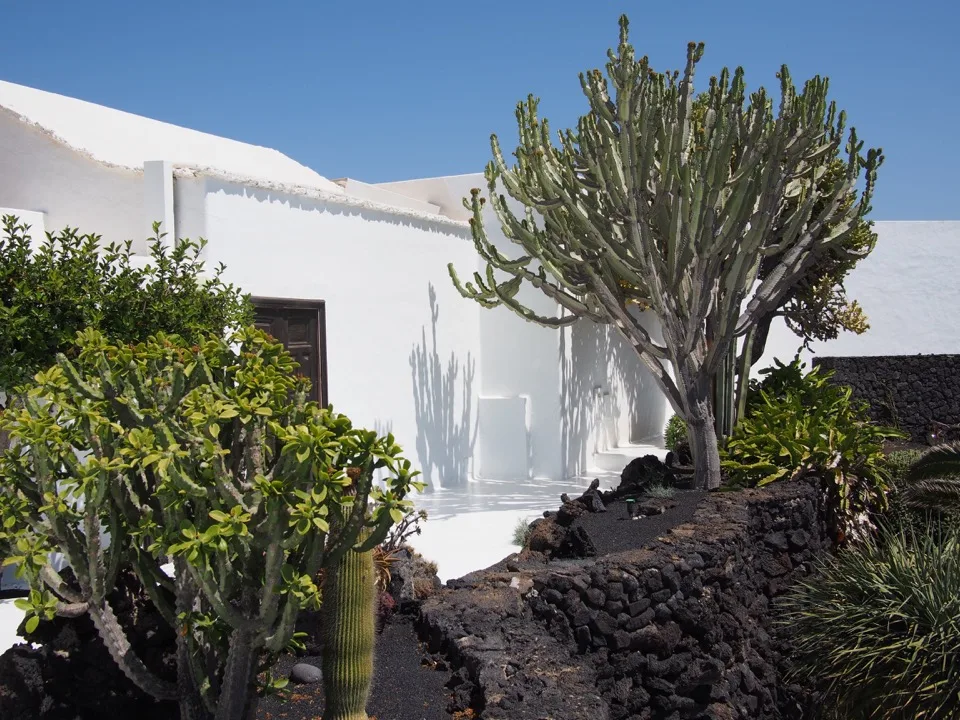 Maison blanche et cactus géants à Lanzarote