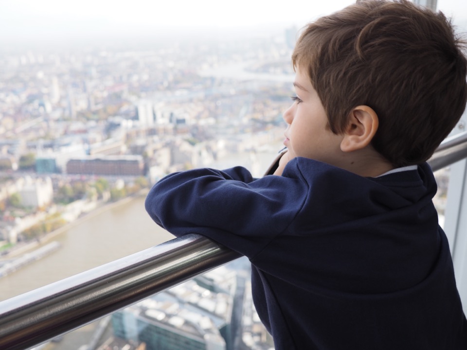 visiter the view from the shard