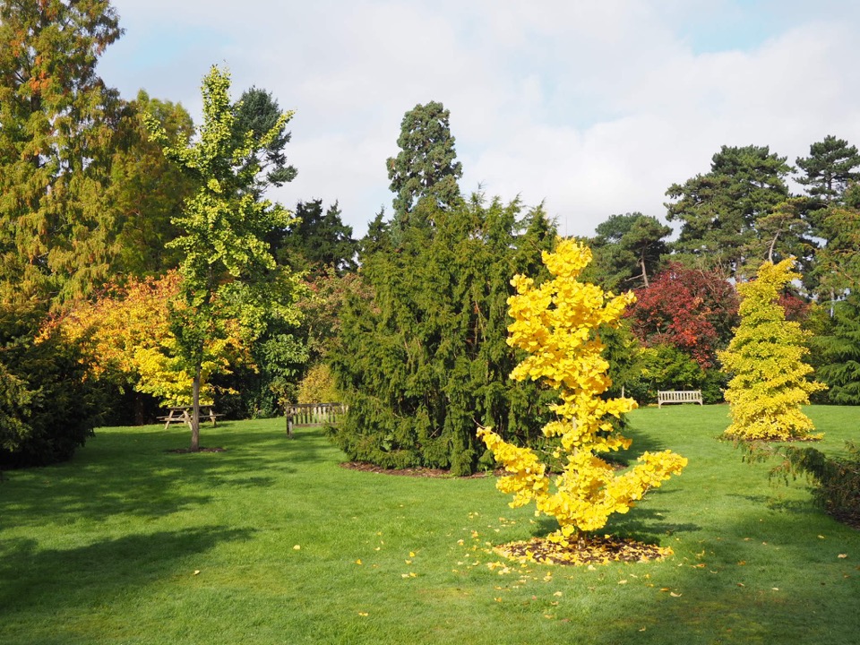 Kew Gardens en famille