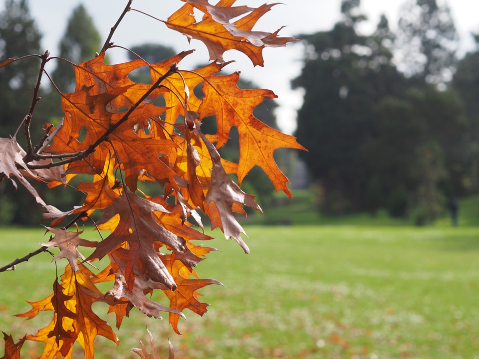Kew Gardens en famille