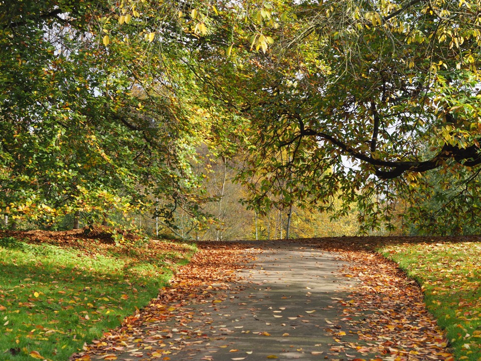Kew Gardens en famille