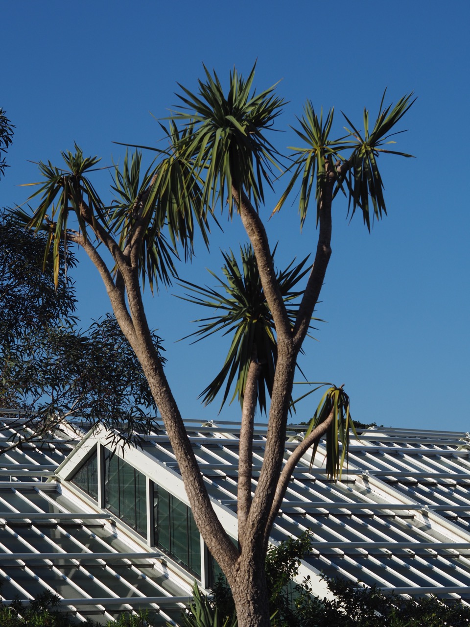Kew Gardens en famille