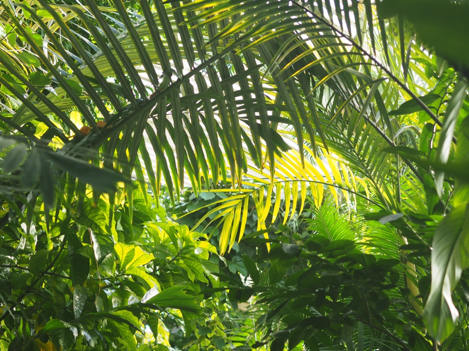 Kew Gardens en famille