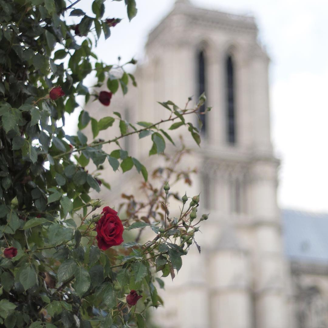 Sorties parisiennes #24 : profiter de Paris avant notre départ