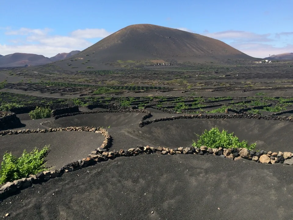 Vignobles volcaniques de Lanzarote