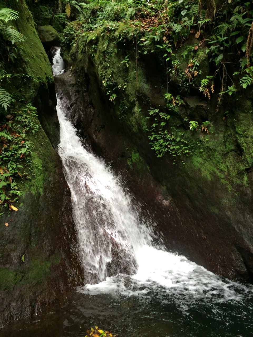 Cascade aux Ecrevisses