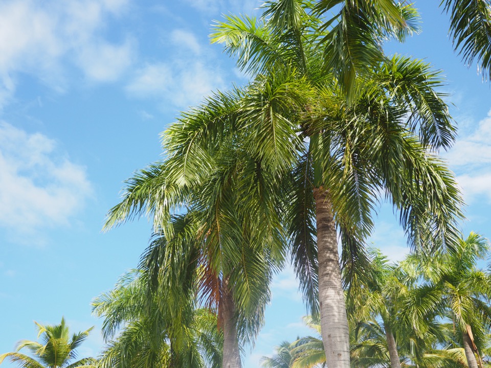 Idée d’itinéraire en République Dominicaine