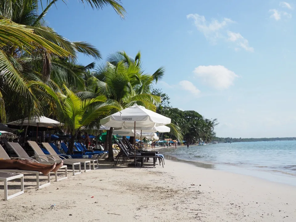 Plage bordée de palmiers avec chaises longues en République Dominicaine