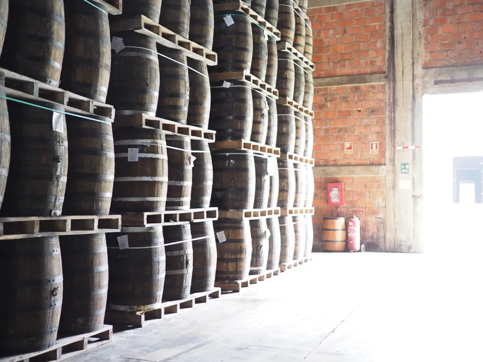 Fûts de rhum empilés à l'intérieur de la distillerie Ron Barceló