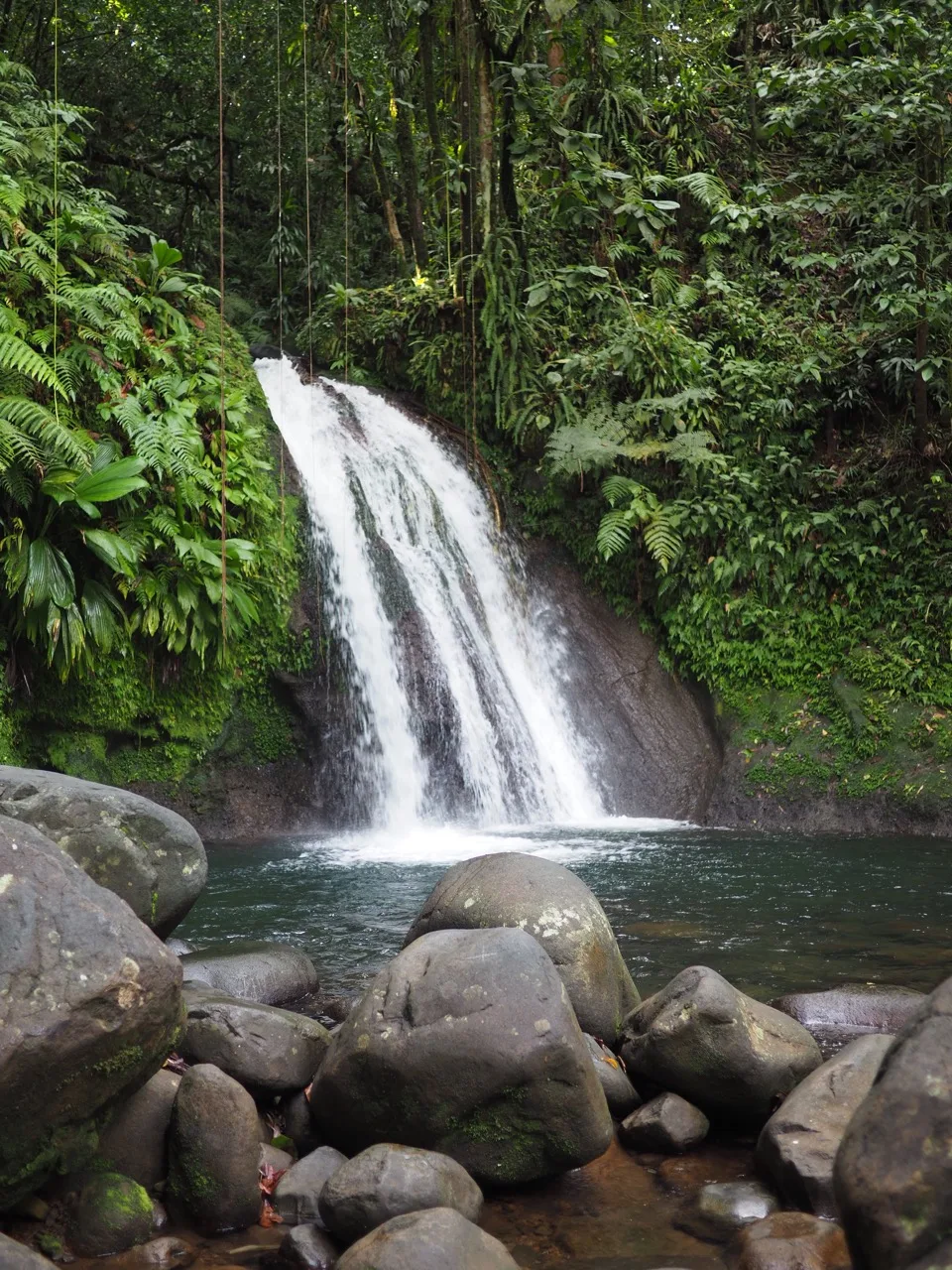 Cascade de forêt tropicale au-dessus de rochers arrondis