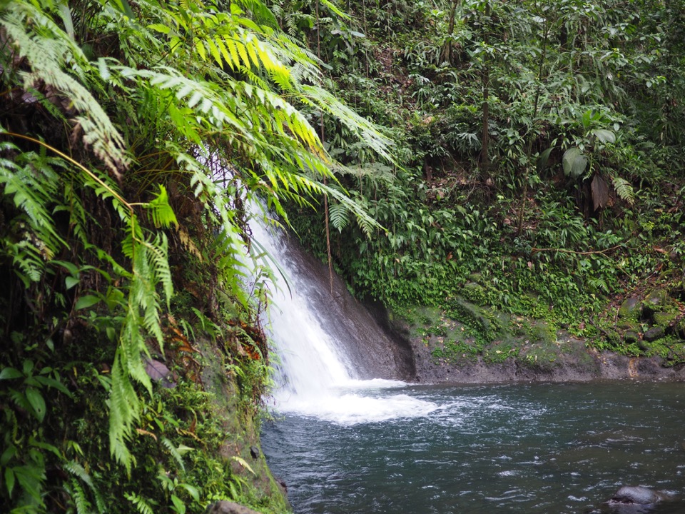 activités Basse-Terre Guadeloupe