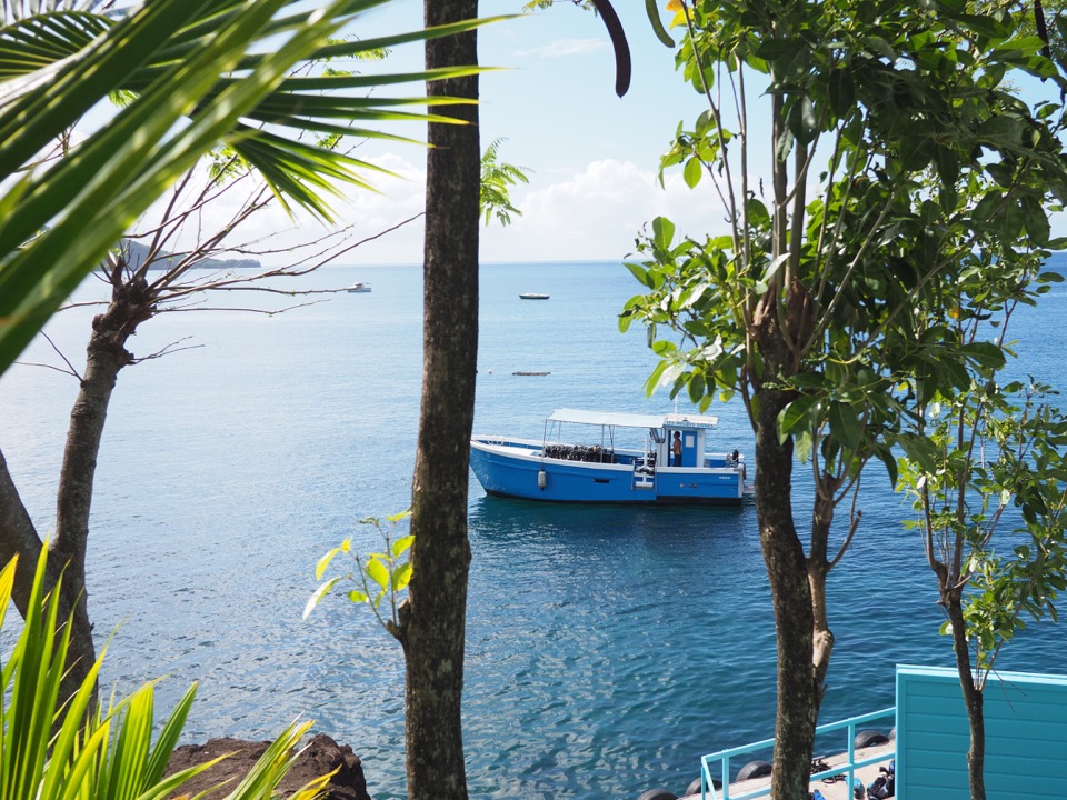 activités Basse-Terre Guadeloupe