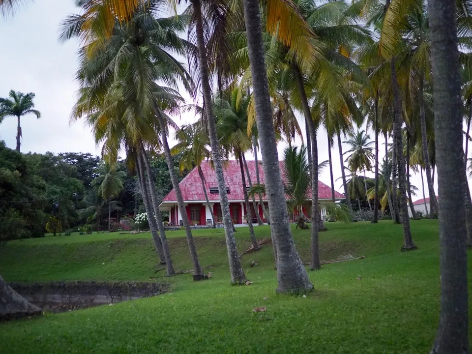 Jardin d'hôtel tropical bordé de palmiers