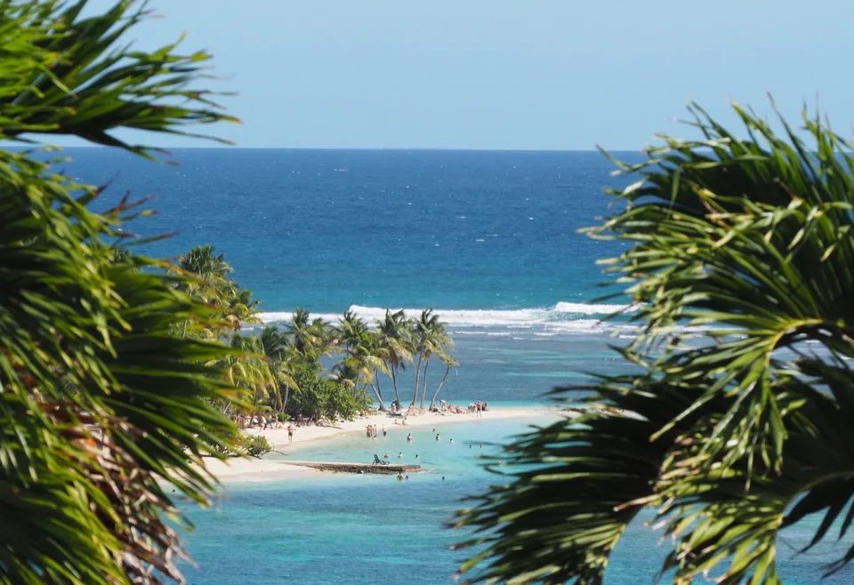 Plage de Guadeloupe encadrée de feuilles de palmiers