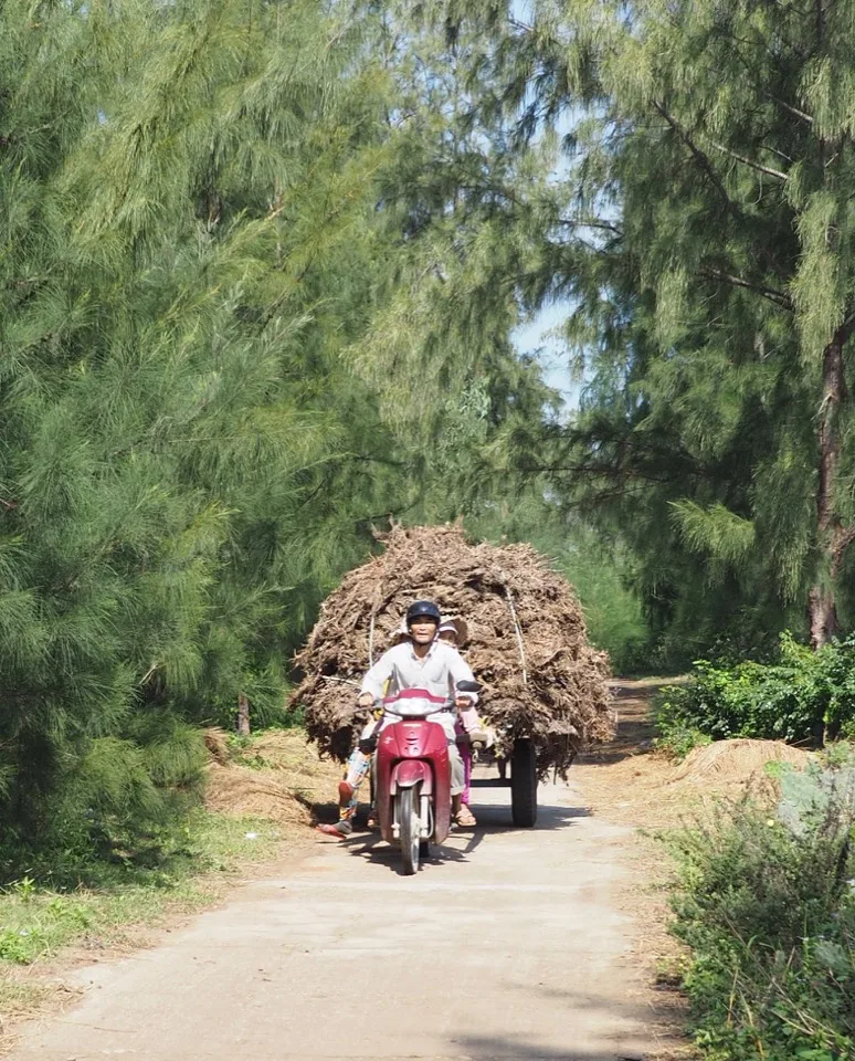Moto transportant une grosse charge le long d’une route rurale au Vietnam