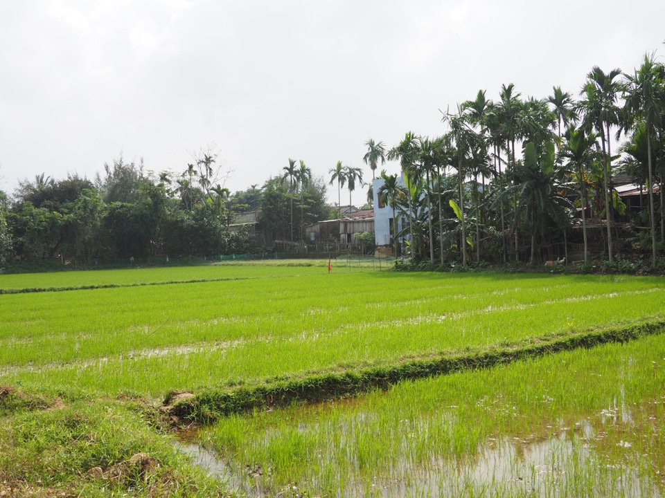 voyage au Vietnam avec enfants