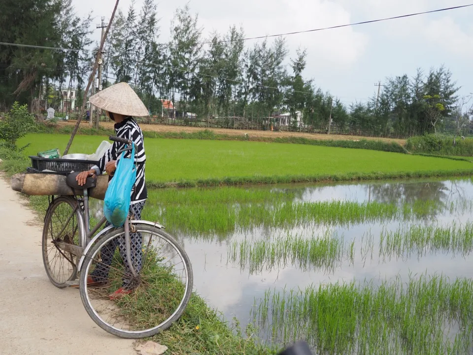 Vendeur avec un vélo à côté des rizières inondées au Vietnam