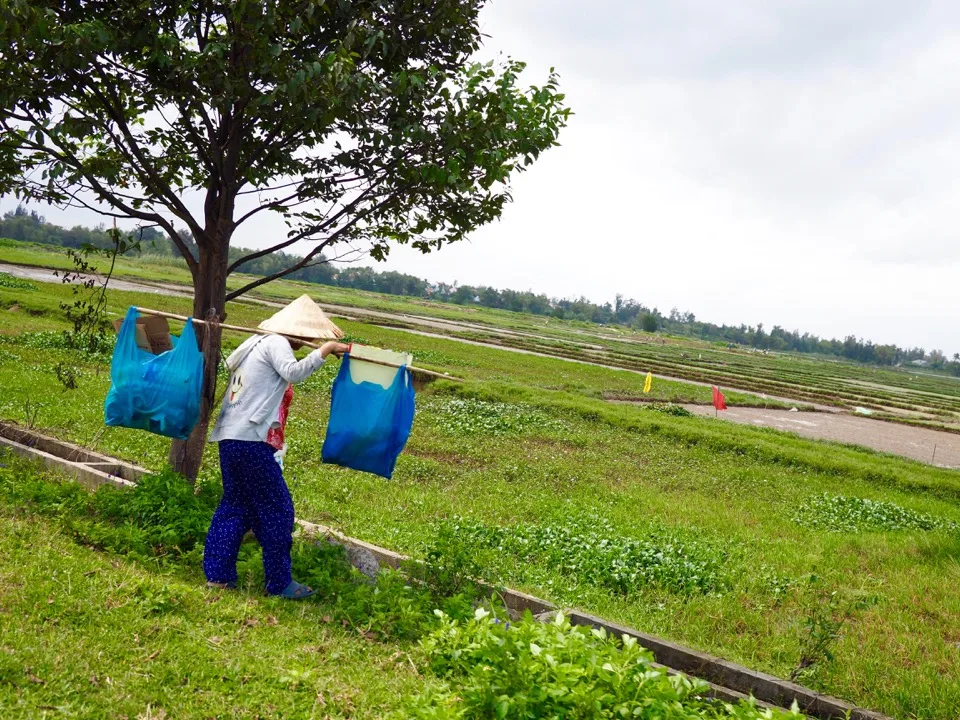 Ouvrier agricole transportant des paniers à travers les champs près de Hoi An