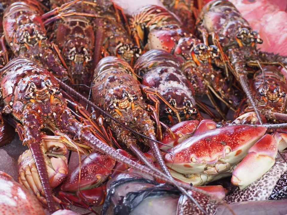 Homards des Caraïbes exposés au marché de Pointe-à-Pitre