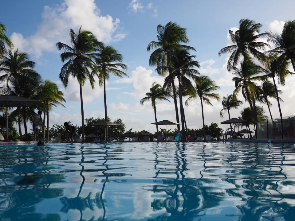 Piscine à débordement bordée de palmiers surplombant la mer