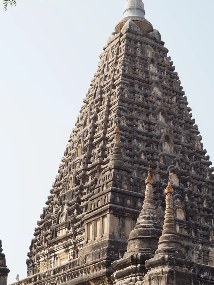 Maha-Bodhi