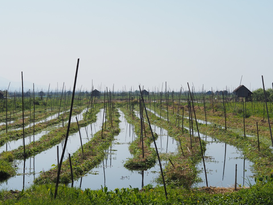 Lac Inle Birmanie