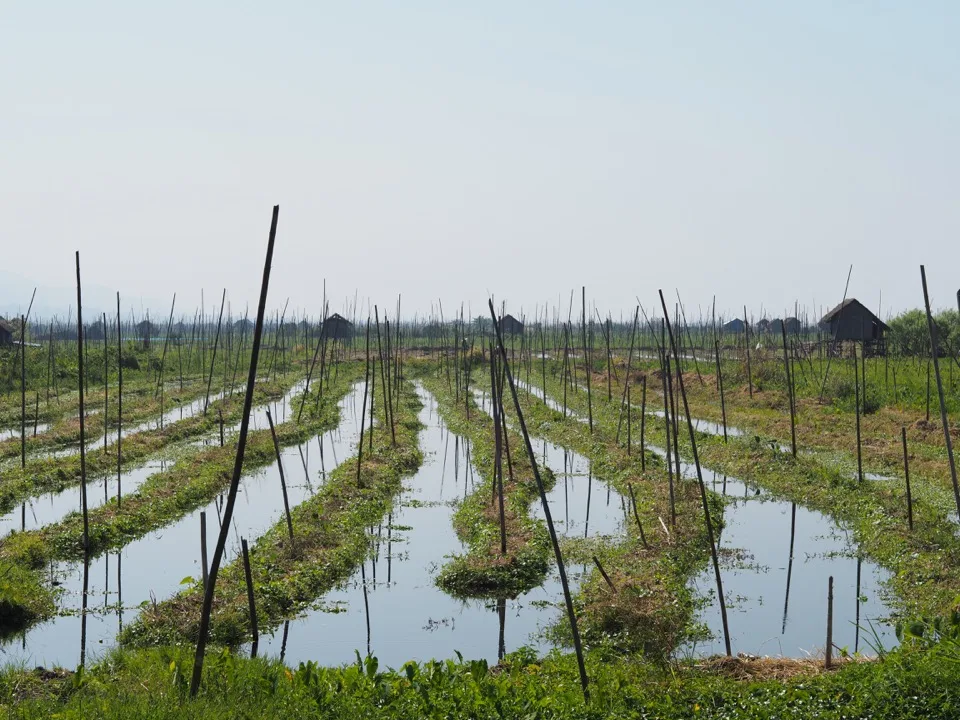 Lac Inle Birmanie