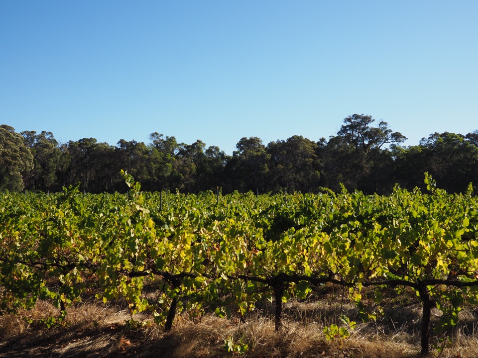 Margaret River en famille