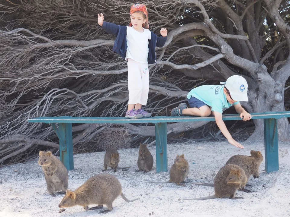 Roatrip avec enfants en Australie occidentale