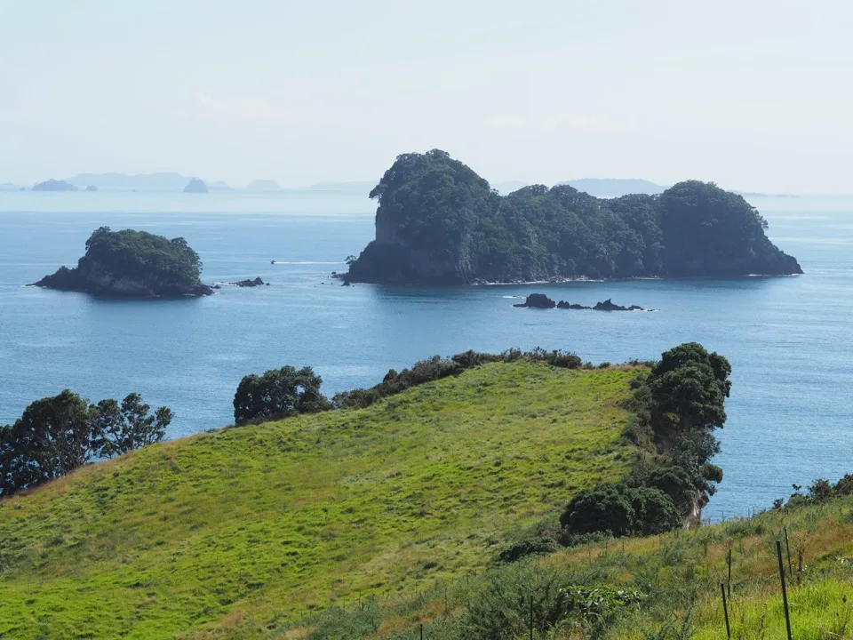Felseninseln vor einer grünen Küste in Neuseeland